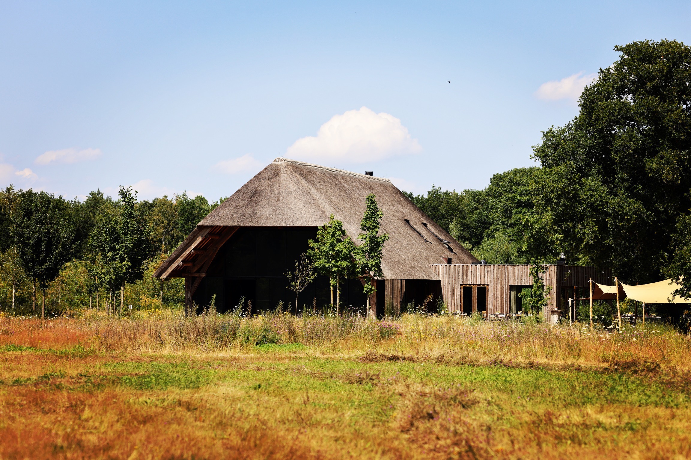 Natuurbegraafplaats Maashorst in Schaijk